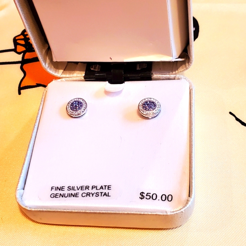 3/$30 New! Fine Silver Plate Genuine Crystal Earrings Studs Purple Stunning VDay